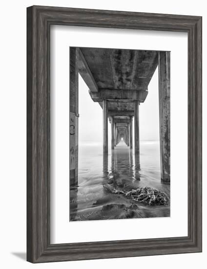 USA, California, La Jolla, Scripps Pier, Sunrise-John Ford-Framed Photographic Print