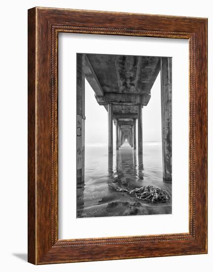 USA, California, La Jolla, Scripps Pier, Sunrise-John Ford-Framed Photographic Print