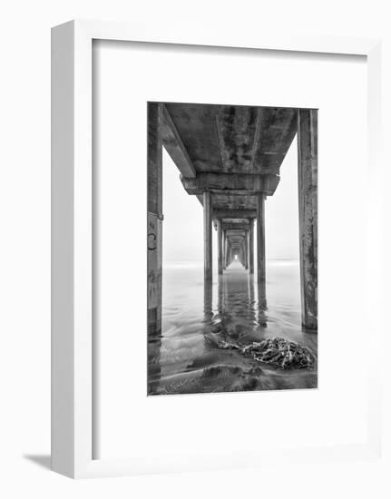 USA, California, La Jolla, Scripps Pier, Sunrise-John Ford-Framed Photographic Print