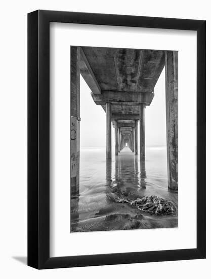 USA, California, La Jolla, Scripps Pier, Sunrise-John Ford-Framed Photographic Print