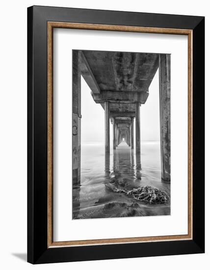 USA, California, La Jolla, Scripps Pier, Sunrise-John Ford-Framed Photographic Print