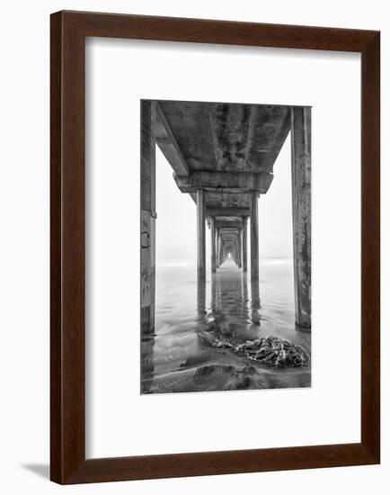 USA, California, La Jolla, Scripps Pier, Sunrise-John Ford-Framed Photographic Print