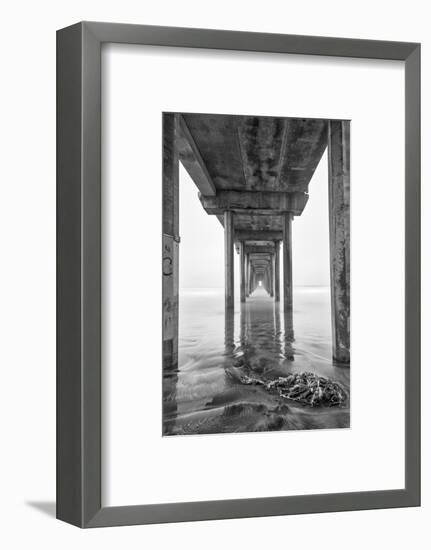 USA, California, La Jolla, Scripps Pier, Sunrise-John Ford-Framed Photographic Print