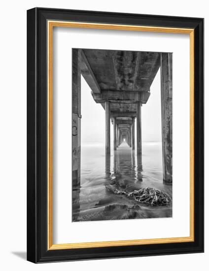 USA, California, La Jolla, Scripps Pier, Sunrise-John Ford-Framed Photographic Print