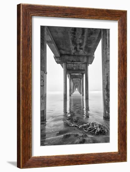 USA, California, La Jolla, Scripps Pier, Sunrise-John Ford-Framed Photographic Print