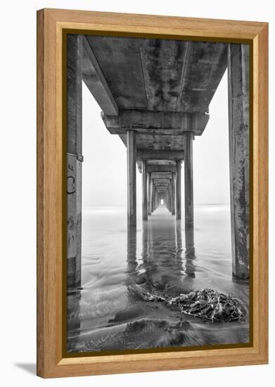 USA, California, La Jolla, Scripps Pier, Sunrise-John Ford-Framed Premier Image Canvas