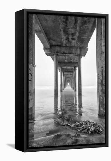 USA, California, La Jolla, Scripps Pier, Sunrise-John Ford-Framed Premier Image Canvas