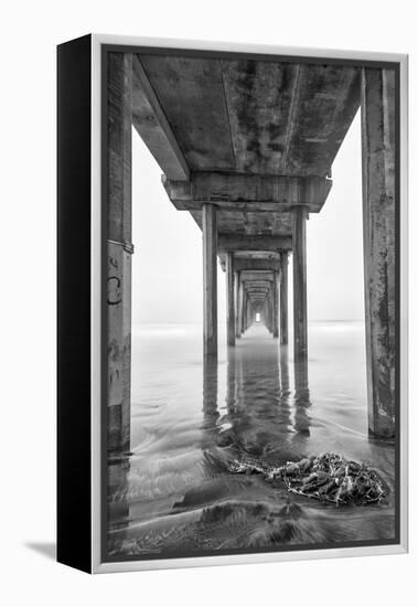 USA, California, La Jolla, Scripps Pier, Sunrise-John Ford-Framed Premier Image Canvas