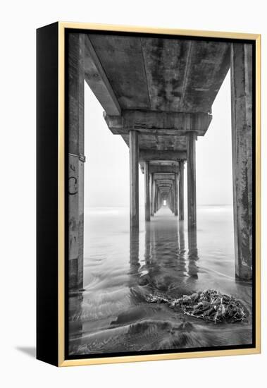 USA, California, La Jolla, Scripps Pier, Sunrise-John Ford-Framed Premier Image Canvas