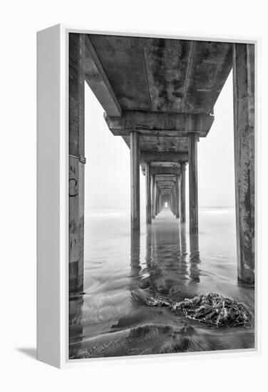 USA, California, La Jolla, Scripps Pier, Sunrise-John Ford-Framed Premier Image Canvas