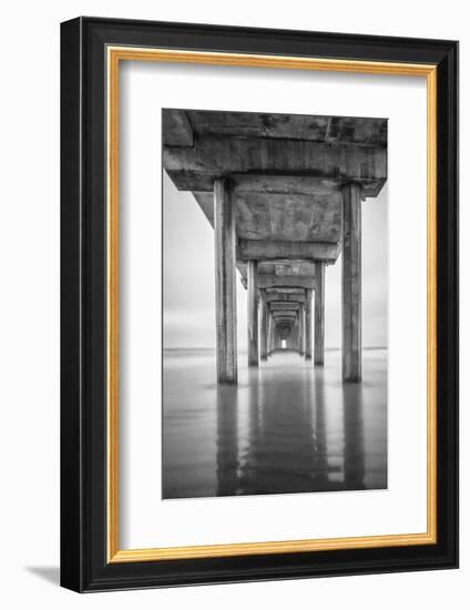 USA, California, La Jolla, Scripps Pier, Sunrise-John Ford-Framed Photographic Print