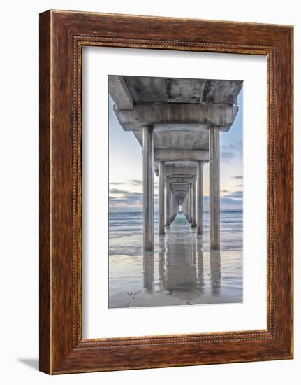 USA, California, La Jolla, Scripps Pier-Rob Tilley-Framed Photographic Print