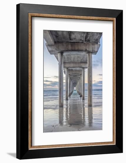 USA, California, La Jolla, Scripps Pier-Rob Tilley-Framed Photographic Print