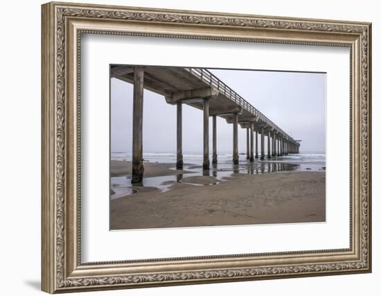 USA, California, La Jolla, Scripps Pier-Peter Hawkins-Framed Photographic Print