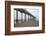 USA, California, La Jolla, Scripps Pier-Peter Hawkins-Framed Photographic Print