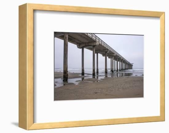 USA, California, La Jolla, Scripps Pier-Peter Hawkins-Framed Photographic Print