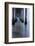 USA, California, La Jolla, Scripps Pier-Peter Hawkins-Framed Photographic Print