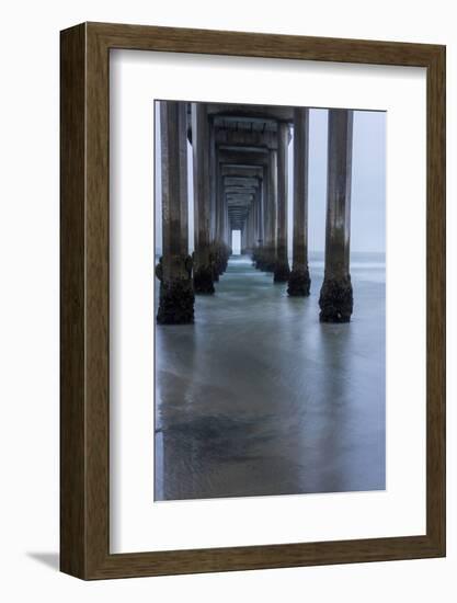 USA, California, La Jolla, Scripps Pier-Peter Hawkins-Framed Photographic Print