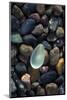USA, California, La Jolla. Sea glass on cobblestone beach.-Jaynes Gallery-Mounted Photographic Print