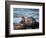 USA, California, La Jolla, Sea lion at La Jolla Cove-Ann Collins-Framed Photographic Print