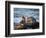 USA, California, La Jolla, Sea lion at La Jolla Cove-Ann Collins-Framed Photographic Print