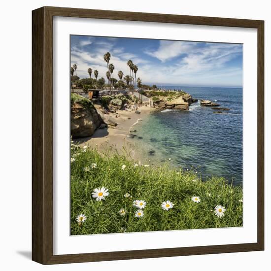 USA, California, La Jolla. Springtime at La Jolla Cove-Ann Collins-Framed Photographic Print