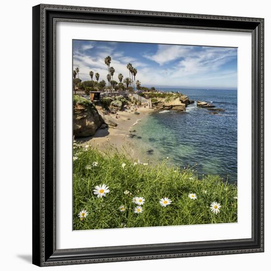 USA, California, La Jolla. Springtime at La Jolla Cove-Ann Collins-Framed Photographic Print