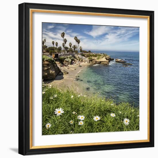 USA, California, La Jolla. Springtime at La Jolla Cove-Ann Collins-Framed Photographic Print