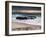 USA, California, La Jolla. Sunset on Rainy Day at North End of Windansea Beach-Ann Collins-Framed Photographic Print