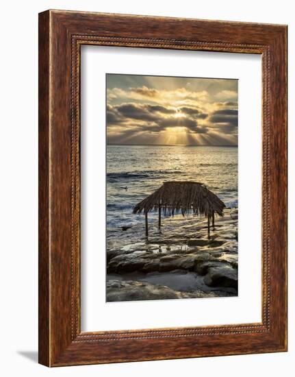 USA, California, La Jolla. Surf Shack at Windansea Beach-Ann Collins-Framed Photographic Print