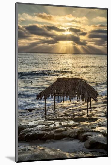 USA, California, La Jolla. Surf Shack at Windansea Beach-Ann Collins-Mounted Photographic Print