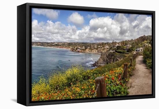 USA, California, La Jolla, View from Coast Walk-Ann Collins-Framed Premier Image Canvas