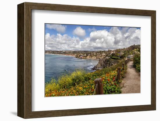 USA, California, La Jolla, View from Coast Walk-Ann Collins-Framed Photographic Print