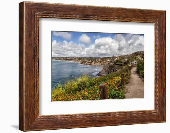 USA, California, La Jolla, View from Coast Walk-Ann Collins-Framed Photographic Print