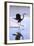 USA, California, Lakeside, Great Blue Heron Landing-Jaynes Gallery-Framed Photographic Print