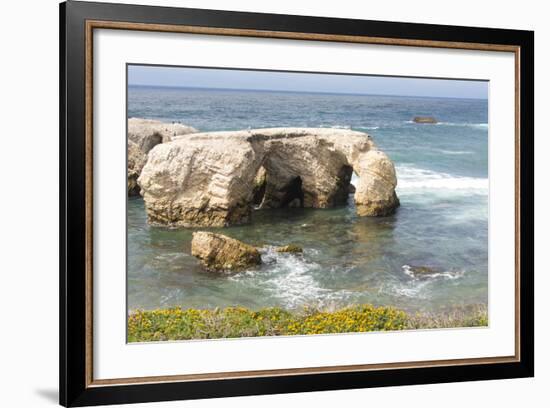 USA, California, Los Osos. Point Buchon Trail, Montana De Oro Wildflowers and Sea Stacks-Trish Drury-Framed Photographic Print