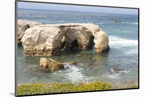 USA, California, Los Osos. Point Buchon Trail, Montana De Oro Wildflowers and Sea Stacks-Trish Drury-Mounted Photographic Print