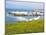 USA, California, Los Osos. Point Buchon Trail, Montana De Oro Wildflowers and Sea Stacks-Trish Drury-Mounted Photographic Print