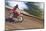 USA, California, Mammoth Lakes. Blur of motocross racer.-Jaynes Gallery-Mounted Photographic Print