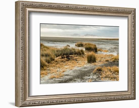 USA, California. Mojave Desert, Mojave National Preserve, Zzyzx, Mojave Soda lake.-Alison Jones-Framed Photographic Print