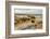 USA, California. Mojave Desert, Mojave National Preserve, Zzyzx, Mojave Soda lake.-Alison Jones-Framed Photographic Print