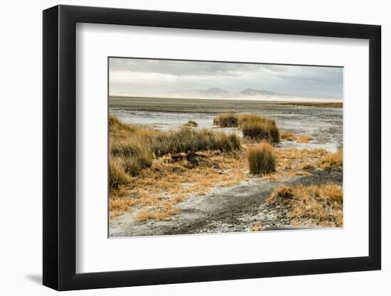 USA, California. Mojave Desert, Mojave National Preserve, Zzyzx, Mojave Soda lake.-Alison Jones-Framed Photographic Print