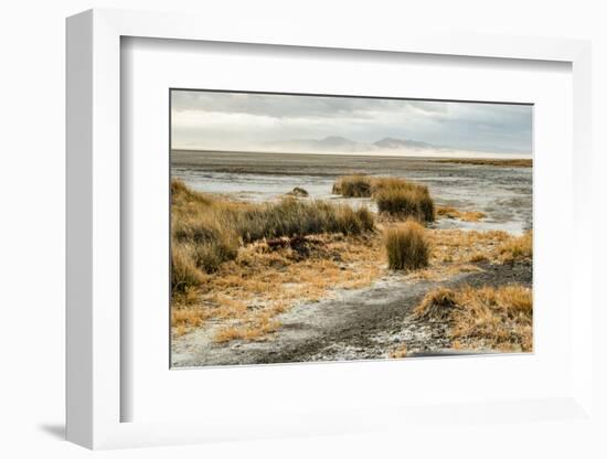 USA, California. Mojave Desert, Mojave National Preserve, Zzyzx, Mojave Soda lake.-Alison Jones-Framed Photographic Print