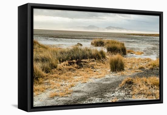 USA, California. Mojave Desert, Mojave National Preserve, Zzyzx, Mojave Soda lake.-Alison Jones-Framed Premier Image Canvas