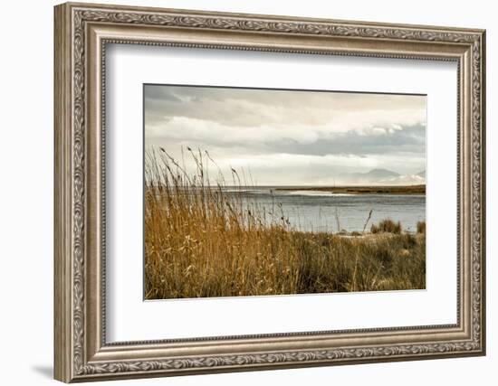 USA, California. Mojave Desert, Mojave National Preserve, Zzyzx, Mojave Soda lake.-Alison Jones-Framed Photographic Print