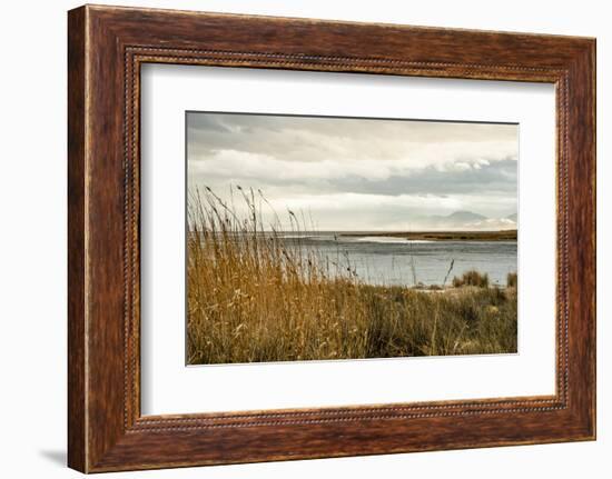 USA, California. Mojave Desert, Mojave National Preserve, Zzyzx, Mojave Soda lake.-Alison Jones-Framed Photographic Print