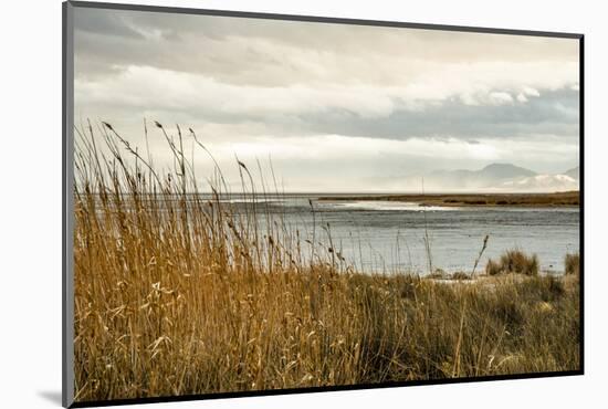 USA, California. Mojave Desert, Mojave National Preserve, Zzyzx, Mojave Soda lake.-Alison Jones-Mounted Photographic Print