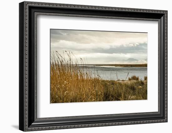 USA, California. Mojave Desert, Mojave National Preserve, Zzyzx, Mojave Soda lake.-Alison Jones-Framed Photographic Print