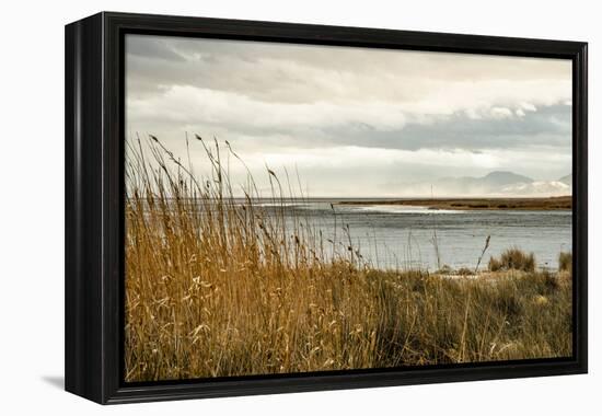 USA, California. Mojave Desert, Mojave National Preserve, Zzyzx, Mojave Soda lake.-Alison Jones-Framed Premier Image Canvas