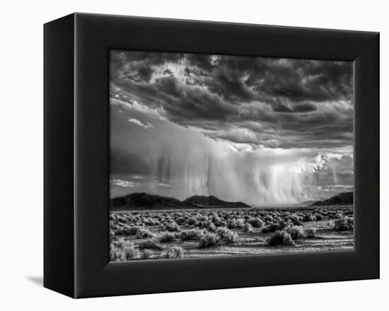 USA, California, Mojave National Preserve, Desert Rain Squall at Sunset-Ann Collins-Framed Premier Image Canvas